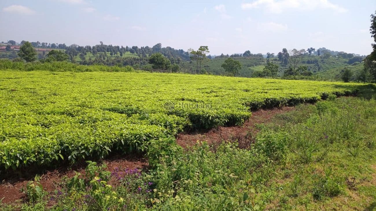 Land for Sale in Waterfalls Inn Tigoni