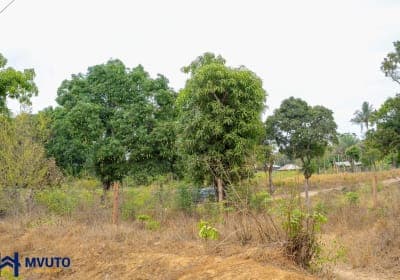1/8 Acre in Mtwapa